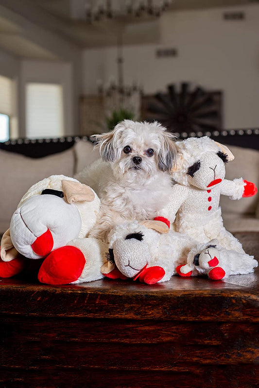 10" Plush Squeaky Lambchop Dog Toy - Zoomies Pet Emporium10" Plush Squeaky Lambchop Dog ToyDog ToyMultipetZoomies Pet Emporium9528a0db - 8513 - 44c5 - a579 - b4afcabf2a89726084362130Pack Of 1Plush10" White/Tan Small Lambchop Dog Toy