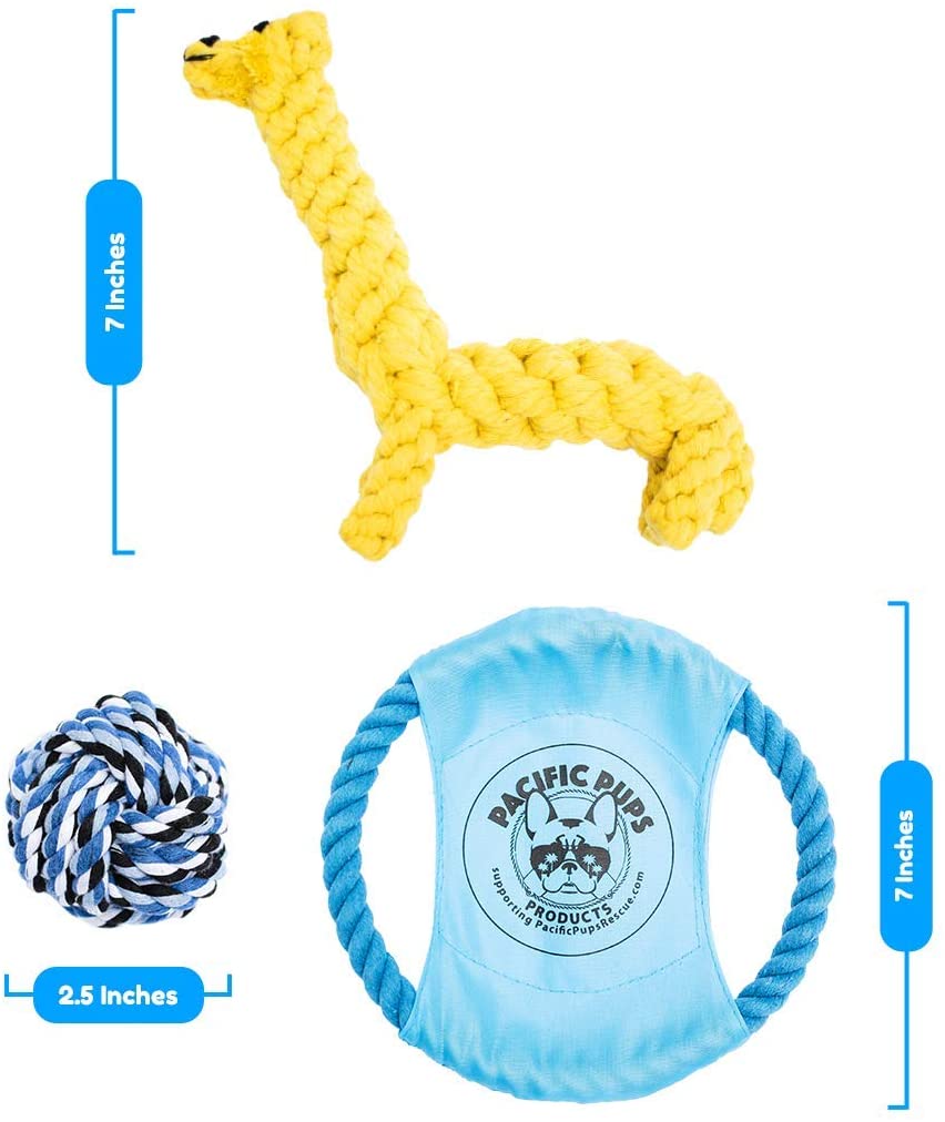 11 - Piece Heavy - Duty Chew Rope Dog Toy Set - Zoomies Pet Emporium11 - Piece Heavy - Duty Chew Rope Dog Toy SetDog ToyPacific Pups ProductsZoomies Pet Emporium91d9e040 - d182 - 416d - ac06 - ffae1b95421774450077627291111 Pack Heavy Duty Chew Rope Dog Toy Set