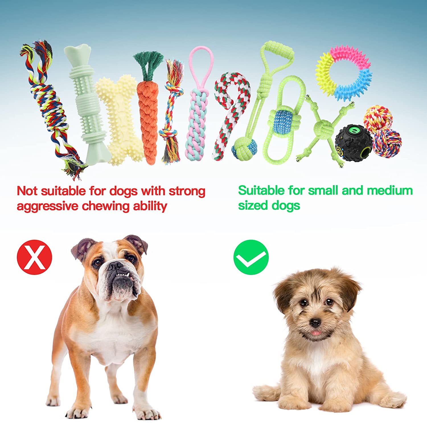 20 - Piece Teething Puppy Dog Toy Set - Zoomies Pet Emporium20 - Piece Teething Puppy Dog Toy SetDog ToyZoomies Pet EmporiumZoomies Pet Emporiumd00d2bb3 - e3e3 - 4ce6 - a3d5 - e36067d25fa170535359448920 Pack20 Pack Teething Puppy Dog Toy Set