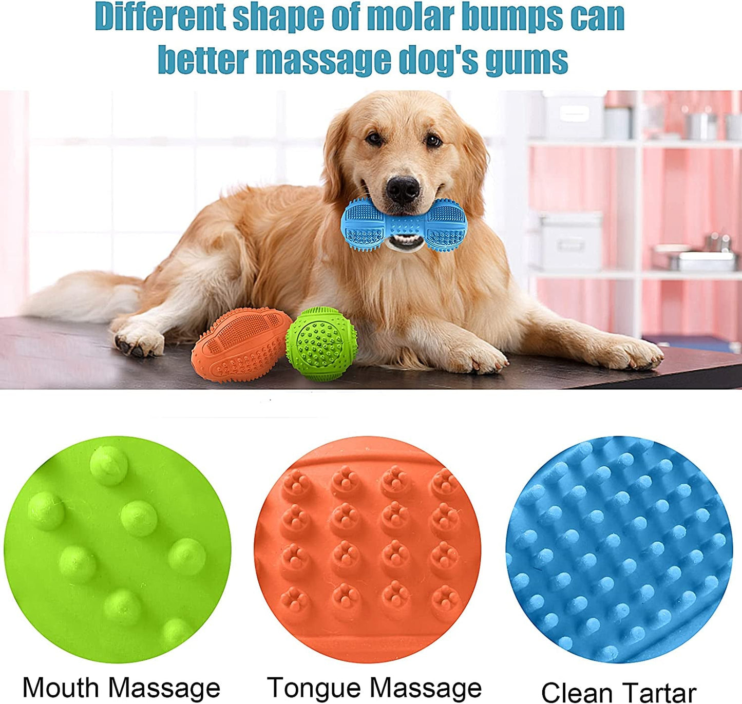 3 - Pack Dog Chew Toy Set for Aggressive Chewers - Zoomies Pet Emporium3 - Pack Dog Chew Toy Set for Aggressive ChewersDog ToyZoomies Pet EmporiumZoomies Pet Emporium2a7d0bf9 - 6934 - 4ea3 - b98b - 2a97ad2d63fc7445012198100Blue - Green - Orange3 Pack Dog Chew Toy Set for Aggressive Chewers