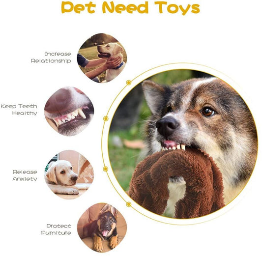 5 - Pack No Stuffing Squeaky Woodland Animals Dog Chew Toys - Zoomies Pet Emporium5 - Pack No Stuffing Squeaky Woodland Animals Dog Chew ToysDog ToyFIREORZoomies Pet Emporium3b16e547 - a2a0 - 4f63 - 9a42 - 0849d0a3682d74450384234225 Pack No Stuffing Cute Animal Squeaky Plush Dog Chew Toy