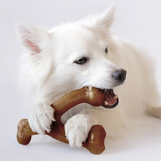 Benebone Wishbone Dog Toy - Zoomies Pet EmporiumBenebone Wishbone Dog ToyDog ToyBeneboneZoomies Pet Emporiumd9f814af - ffd1 - 49af - ac14 - f38ad2483f0b313097350362REAL BaconMediumBenebone Wishbone Durable Dog Chew Toy