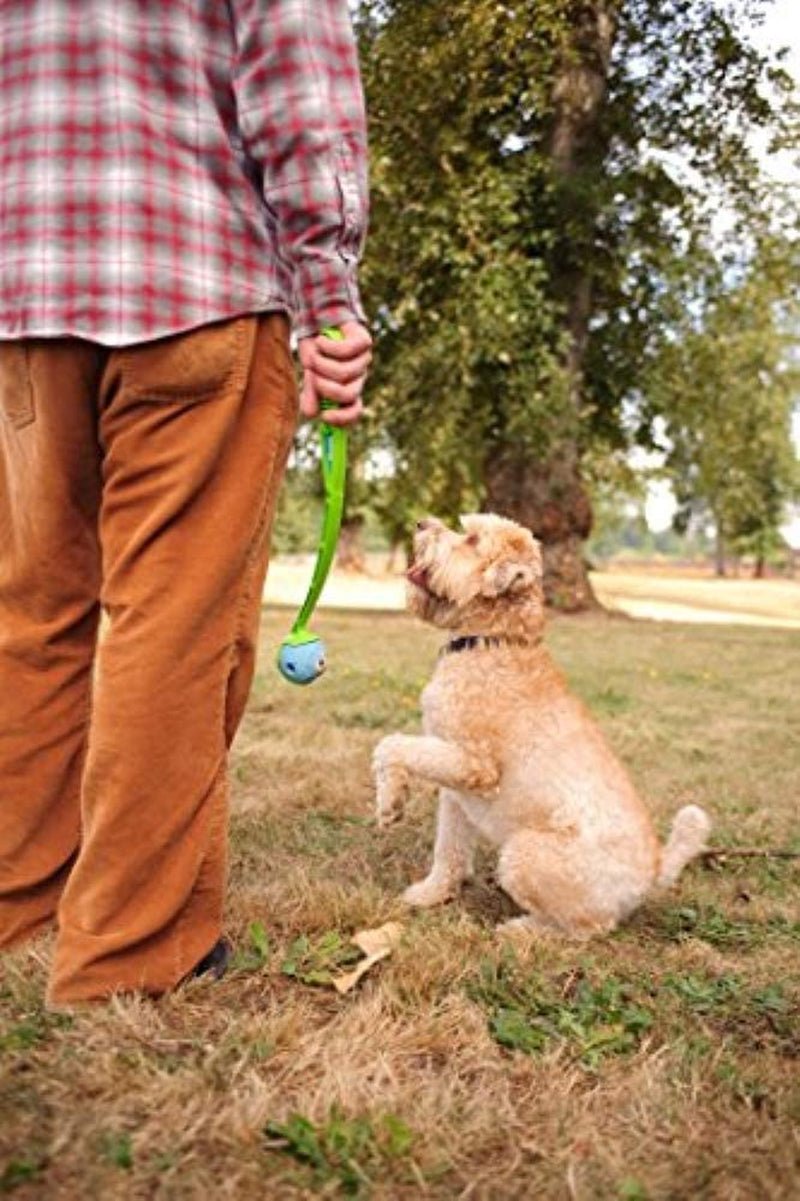 Chuckit! Fetch Medley Dog Toy Set - Zoomies Pet EmporiumChuckit! Fetch Medley Dog Toy SetDog ToyChuckit!Zoomies Pet Emporium3c530592 - 51e2 - 46d0 - 9b5a - c5c6d8e0ced8726084988538Fetch Medley Gen 1Medium (2.5")3 Pack Fetch Medley Ball Set Dog Toys