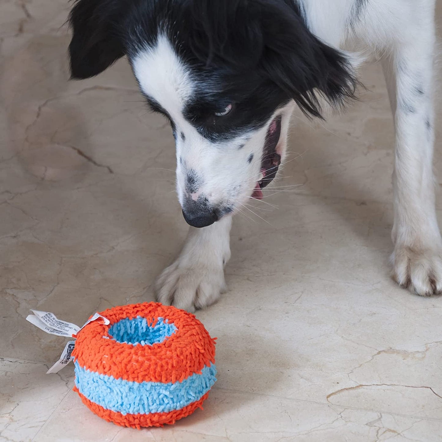 Chuckit! Indoor Roller Dog Toy - Zoomies Pet EmporiumChuckit! Indoor Roller Dog ToyDog ToyChuckitZoomies Pet Emporium23e4327e - aba7 - 4042 - 8f7b - 6da671e6be6c7445026665698RollerChuckit! Indoor Roller Dog Toy