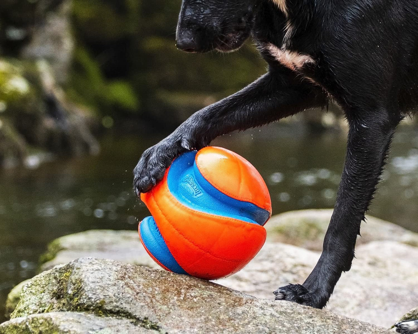 Chuckit! Kick Fetch Ball Dog Toy - Zoomies Pet EmporiumChuckit! Kick Fetch Ball Dog ToyDog ToyChuckit!Zoomies Pet Emporiume43335e3 - edbd - 4629 - 9cf4 - ec01219a03de313096124100RegularGlow BallLargeChuckit Kick Fetch Ball Dog Toy