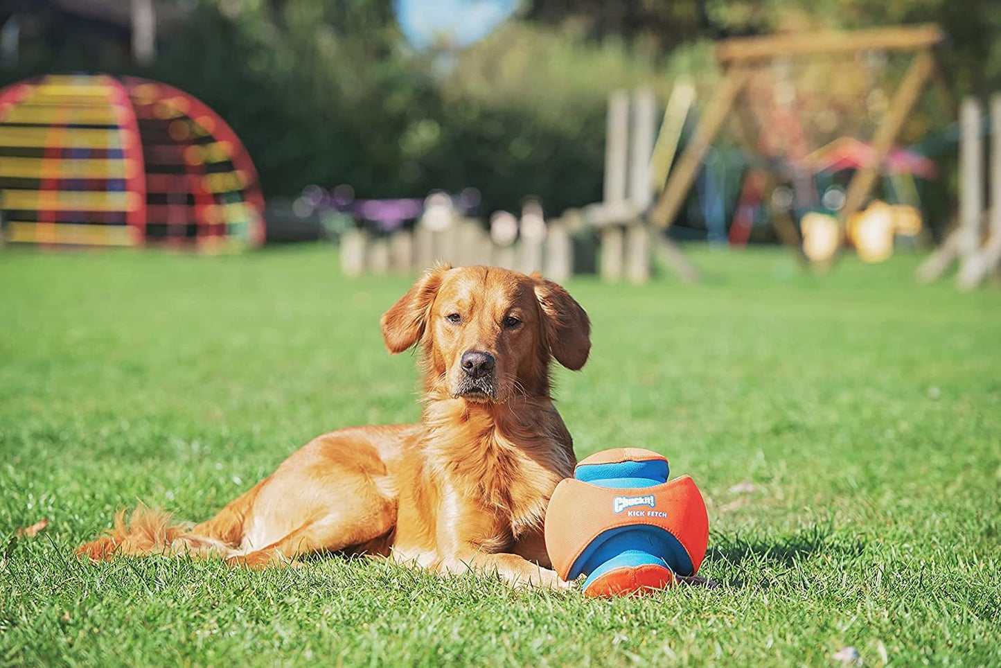 Chuckit! Kick Fetch Ball Dog Toy - Zoomies Pet EmporiumChuckit! Kick Fetch Ball Dog ToyDog ToyChuckit!Zoomies Pet Emporiume43335e3 - edbd - 4629 - 9cf4 - ec01219a03de313096124100RegularGlow BallLargeChuckit Kick Fetch Ball Dog Toy