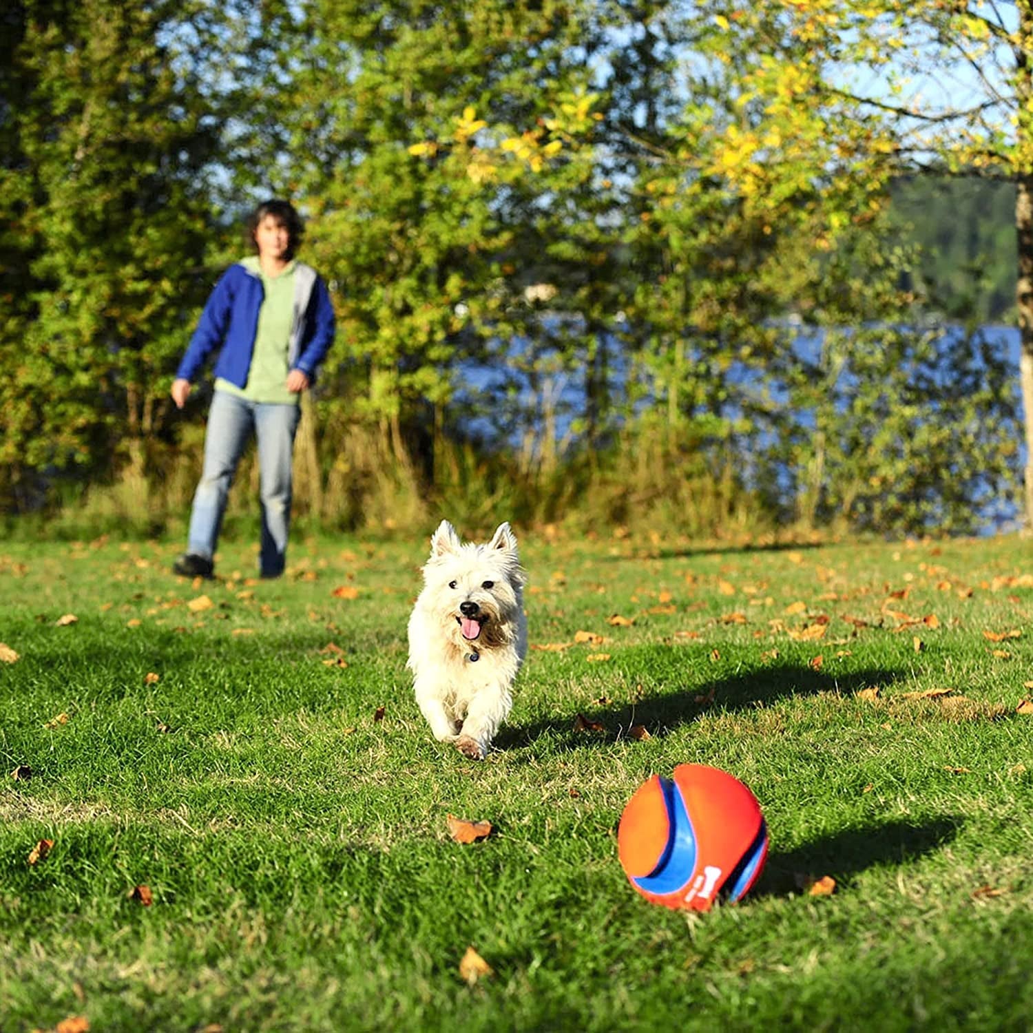 Chuckit! Kick Fetch Ball Dog Toy - Zoomies Pet EmporiumChuckit! Kick Fetch Ball Dog ToyDog ToyChuckit!Zoomies Pet Emporiume43335e3 - edbd - 4629 - 9cf4 - ec01219a03de313096124100RegularGlow BallLargeChuckit Kick Fetch Ball Dog Toy