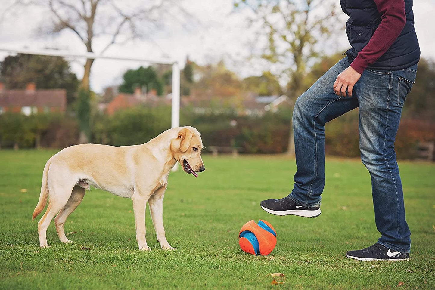 Chuckit! Kick Fetch Ball Dog Toy - Zoomies Pet EmporiumChuckit! Kick Fetch Ball Dog ToyDog ToyChuckit!Zoomies Pet Emporiume43335e3 - edbd - 4629 - 9cf4 - ec01219a03de313096124100RegularGlow BallLargeChuckit Kick Fetch Ball Dog Toy