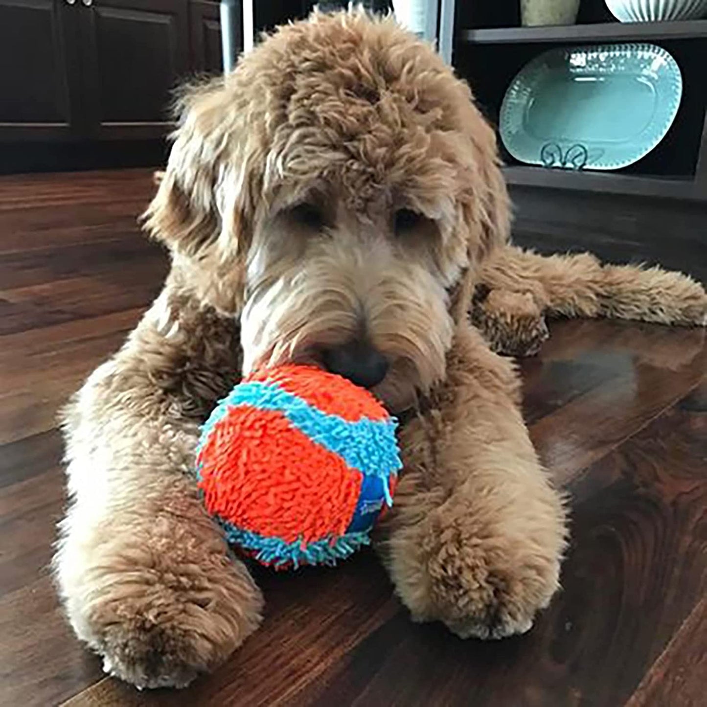 Chuckit! Soft Indoor Ball Dog Toy - Zoomies Pet EmporiumChuckit! Soft Indoor Ball Dog ToyDog ToyChuckit!Zoomies Pet Emporium9fee1aa8 - eef4 - 4977 - 8a3f - b4cece7efed7313018769785Fetch BallChuckit! Indoor Ball , Soft Dog Toy (4.75 Inch)