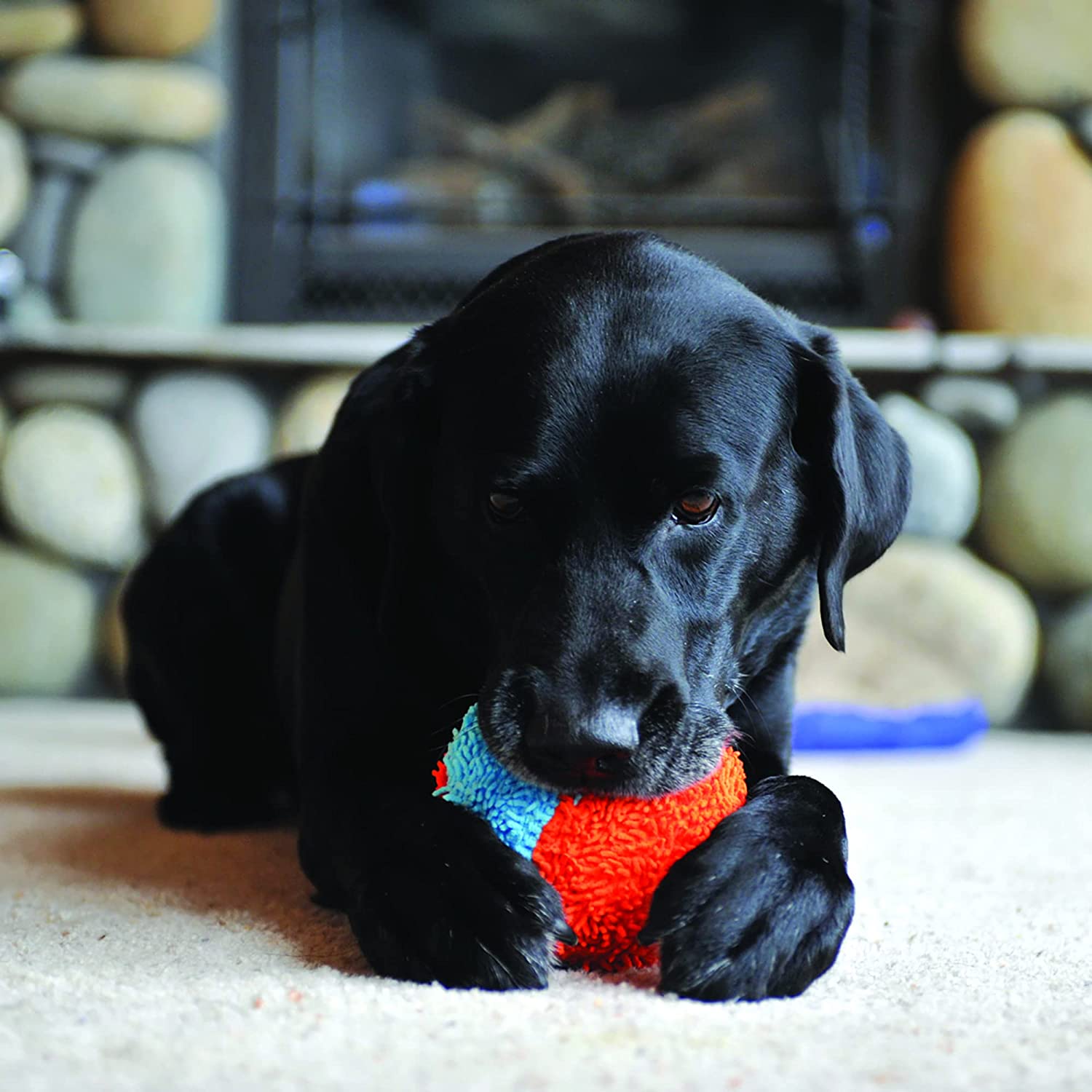 Chuckit! Soft Indoor Ball Dog Toy - Zoomies Pet EmporiumChuckit! Soft Indoor Ball Dog ToyDog ToyChuckit!Zoomies Pet Emporium9fee1aa8 - eef4 - 4977 - 8a3f - b4cece7efed7313018769785Fetch BallChuckit! Indoor Ball , Soft Dog Toy (4.75 Inch)