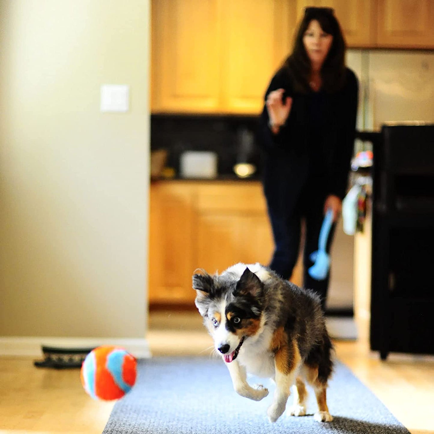 Chuckit! Soft Indoor Ball Dog Toy - Zoomies Pet EmporiumChuckit! Soft Indoor Ball Dog ToyDog ToyChuckit!Zoomies Pet Emporium9fee1aa8 - eef4 - 4977 - 8a3f - b4cece7efed7313018769785Fetch BallChuckit! Indoor Ball , Soft Dog Toy (4.75 Inch)