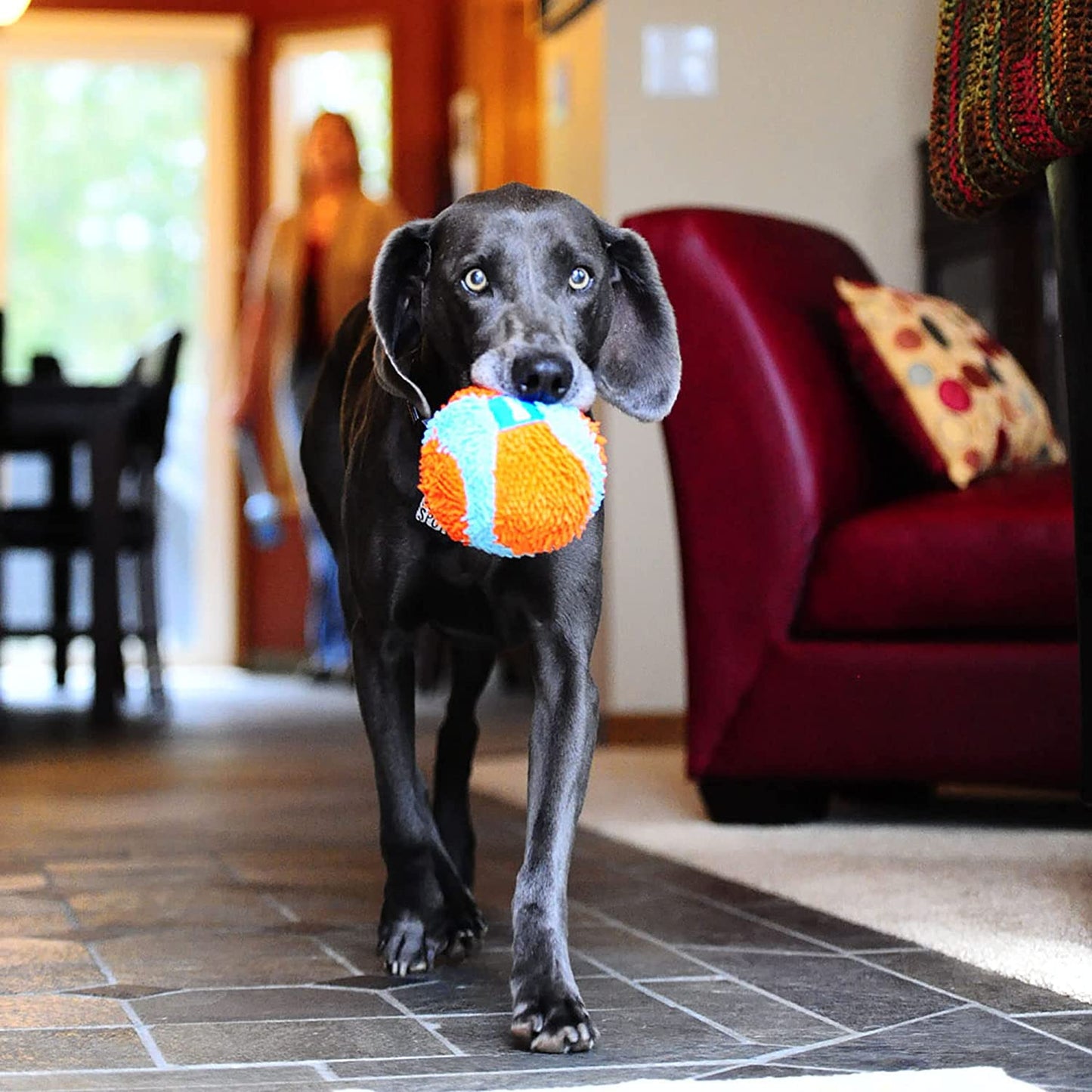 Chuckit! Soft Indoor Ball Dog Toy - Zoomies Pet EmporiumChuckit! Soft Indoor Ball Dog ToyDog ToyChuckit!Zoomies Pet Emporium9fee1aa8 - eef4 - 4977 - 8a3f - b4cece7efed7313018769785Fetch BallChuckit! Indoor Ball , Soft Dog Toy (4.75 Inch)