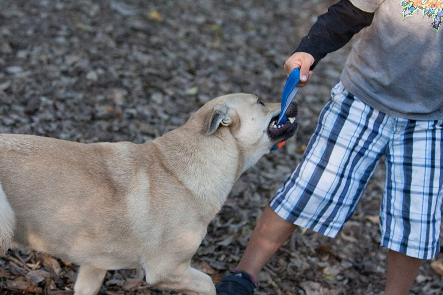 Chuckit! Ultra Tug Throw Dog Toy - Zoomies Pet EmporiumChuckit! Ultra Tug Throw Dog ToyDog ToyChuckitZoomies Pet Emporium5c336302 - 732d - 4568 - b8b2 - 40f7af1ab592313056147156Ultra TugLargeChuckit! Ultra Tug Dog Toy