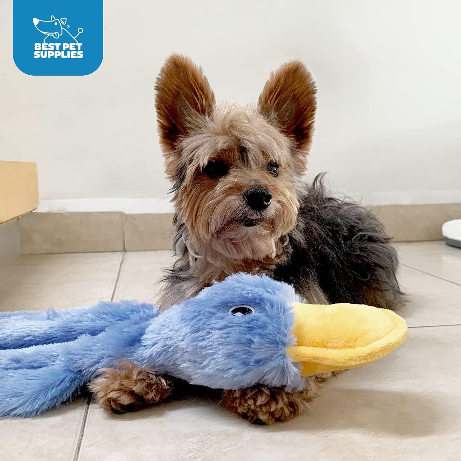 Cute No Stuffing Plush Squeaky Duck Dog Toy - Zoomies Pet EmporiumCute No Stuffing Plush Squeaky Duck Dog ToyDog ToyBest Pet SuppliesZoomies Pet Emporiumfd848363 - 825d - 433e - 9b59 - 68c1d944823b3130508358991 YellowCute No Stuffing Duck with Soft Squeaker Dog Toy