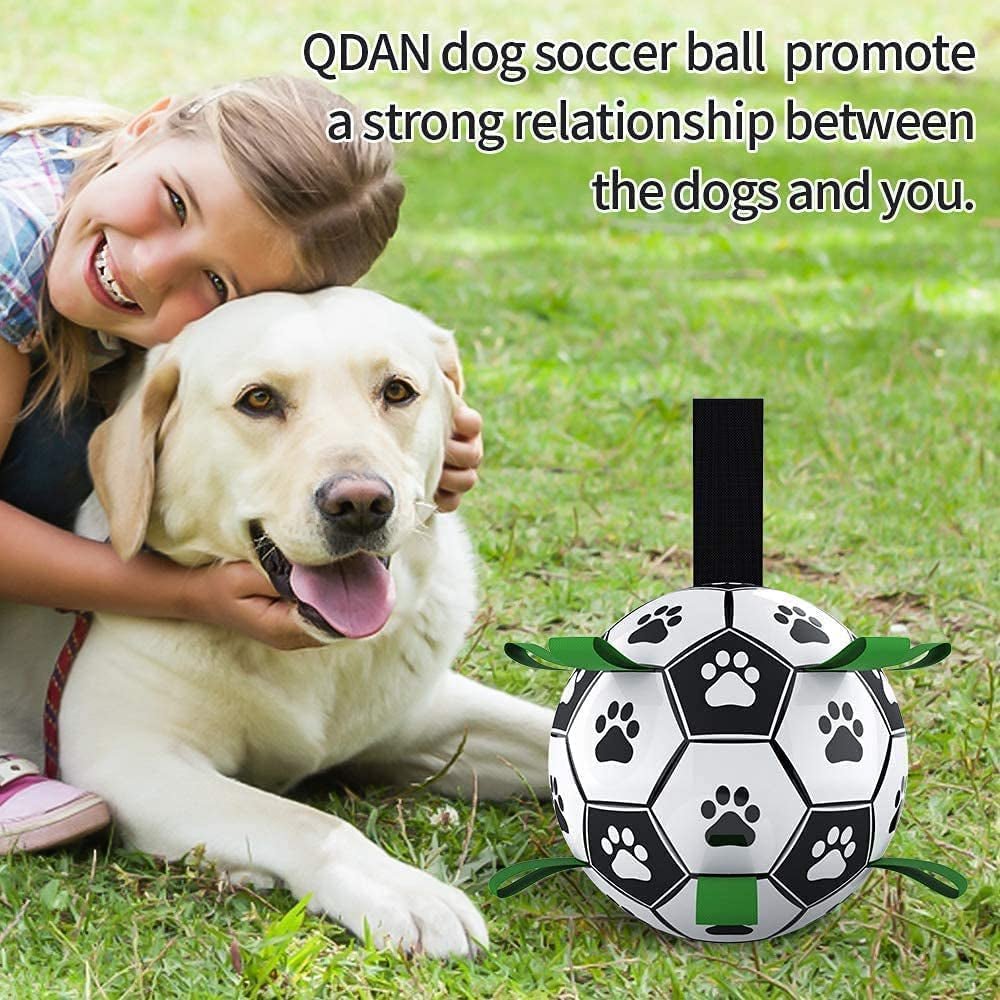 Dog Soccer Ball Toy - Zoomies Pet EmporiumDog Soccer Ball ToyDog ToyZoomies Pet EmporiumZoomies Pet Emporiumee8fb9a6 - 1f0e - 4277 - 8c28 - 7a24b5026a17705353632723A - GreenMedium Size 2Soccer Ball with Straps Dog Toy