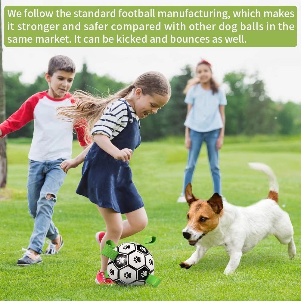 Dog Soccer Ball Toy - Zoomies Pet EmporiumDog Soccer Ball ToyDog ToyZoomies Pet EmporiumZoomies Pet Emporiumee8fb9a6 - 1f0e - 4277 - 8c28 - 7a24b5026a17705353632723A - GreenMedium Size 2Soccer Ball with Straps Dog Toy