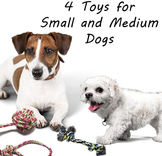 Durable 4 - Piece Rope Dog Toy Set - Zoomies Pet EmporiumDurable 4 - Piece Rope Dog Toy SetDog ToyOtterly PetsZoomies Pet Emporium9b2821b2 - 3f22 - 46eb - a026 - f837bd7e50a93130312362574 Pack Durable Rope Dog Toy Set for Small to Medium Dogs