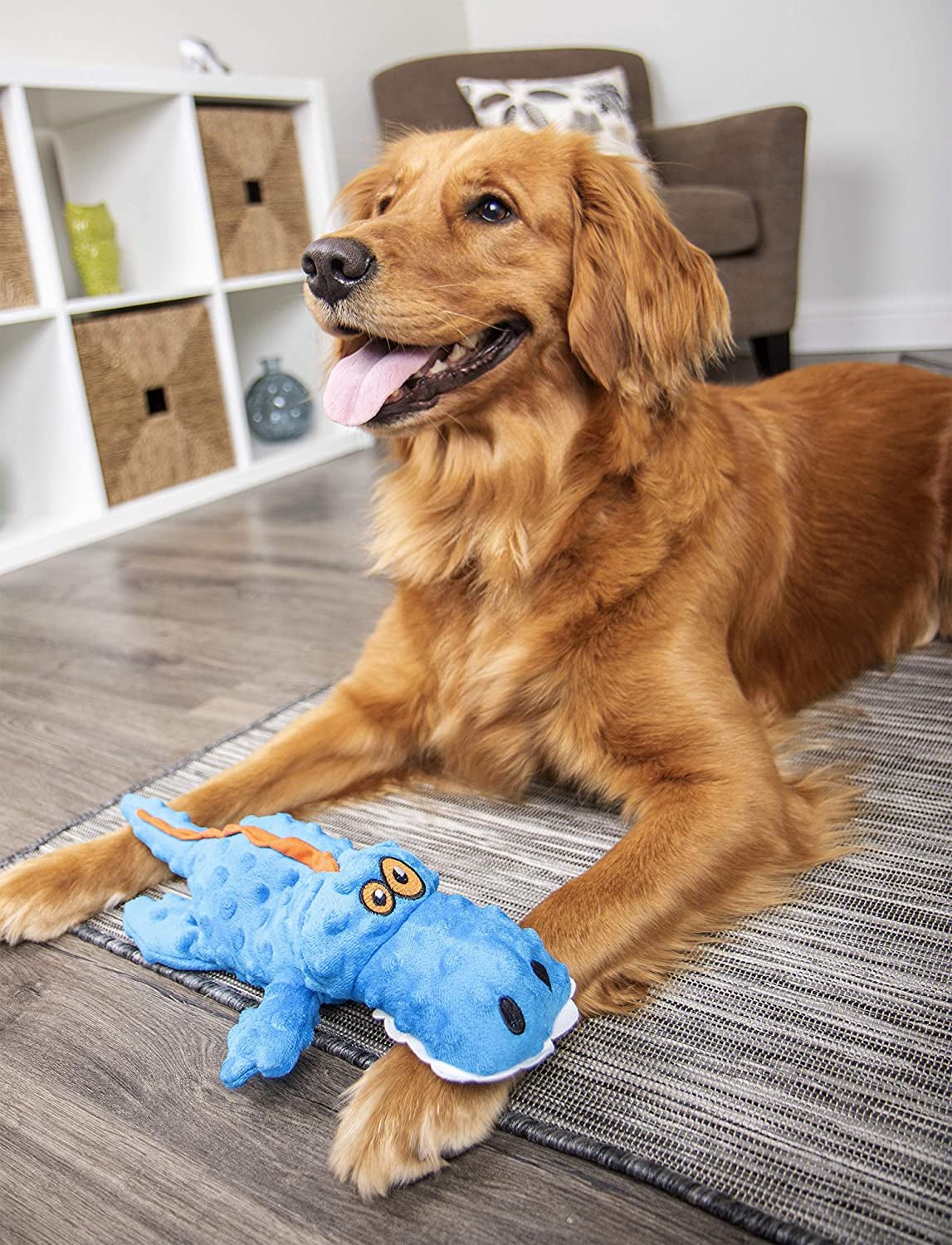 GoDog Blue Plush Squeaky Gator Dog Toy - Zoomies Pet EmporiumGoDog Blue Plush Squeaky Gator Dog ToyDog ToyGodogZoomies Pet Emporium4864a817 - 38b9 - 4be8 - 8178 - 9d98980af7837445021697663Gator (Blue)Mini Blue Gator Squeaky Plush Dog Toy