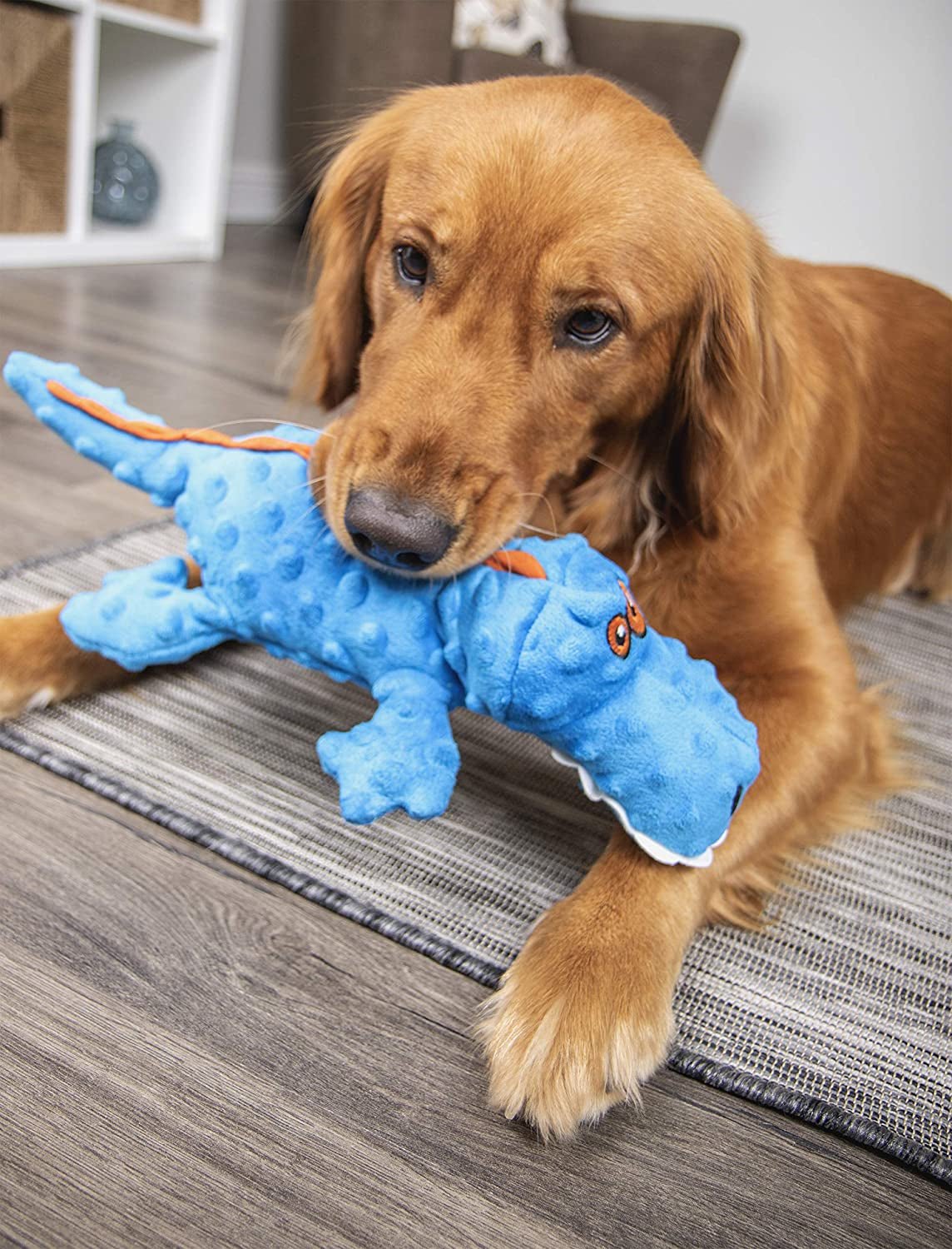 GoDog Blue Plush Squeaky Gator Dog Toy - Zoomies Pet EmporiumGoDog Blue Plush Squeaky Gator Dog ToyDog ToyGodogZoomies Pet Emporium4864a817 - 38b9 - 4be8 - 8178 - 9d98980af7837445021697663Gator (Blue)Mini Blue Gator Squeaky Plush Dog Toy