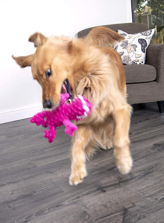 GoDog Pink Plush Squeaky Gator Dog Toy - Zoomies Pet EmporiumGoDog Pink Plush Squeaky Gator Dog ToyDog ToyGodogZoomies Pet Emporium1fa9bc17 - f8d8 - 4142 - 9057 - 5a24fae547c07445036982983PinkSmallPink Gator Squeaky Plush Dog Toy