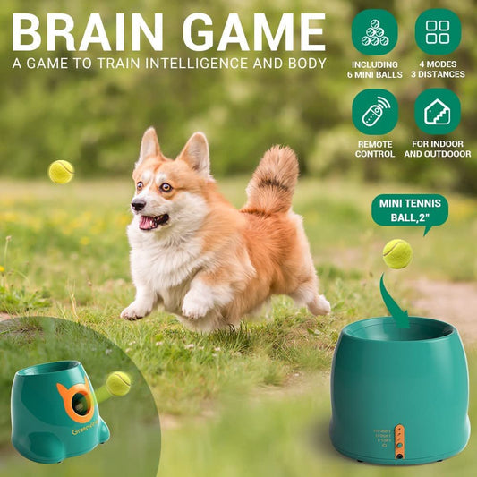 Greenvine Ball Launcher Dog Toy - Zoomies Pet EmporiumGreenvine Ball Launcher Dog ToyDog ToyGreenvineZoomies Pet Emporium2494101c - 83db - 46df - 9d7b - 7520a003c84d726084760660Ivy GrassyardGreenvine Automatic Dog Ball Launcher, 6 Balls Included Premium