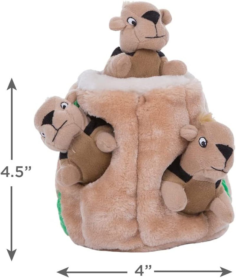 Hide A Squirrel Dog Toy Puzzle - Zoomies Pet EmporiumHide A Squirrel Dog Toy PuzzleDog ToyOutward HoundZoomies Pet Emporiumced346d2 - 2c98 - 49f8 - 9796 - 5c003b3109a1726084710047Hide a Squirrel Plush Dog Toy Puzzle