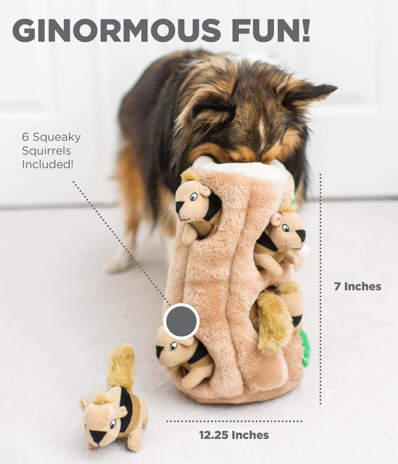 Hide A Squirrel Plush Dog Puzzle Toy, XL - Zoomies Pet EmporiumHide A Squirrel Plush Dog Puzzle Toy, XLDog ToyOutward HoundZoomies Pet Emporium0283cc52 - 9d45 - 4981 - 957b - 4469ac5b76bd744759055545SquirrelXlHide a Squirrel Plush Dog Toy Puzzle, XL