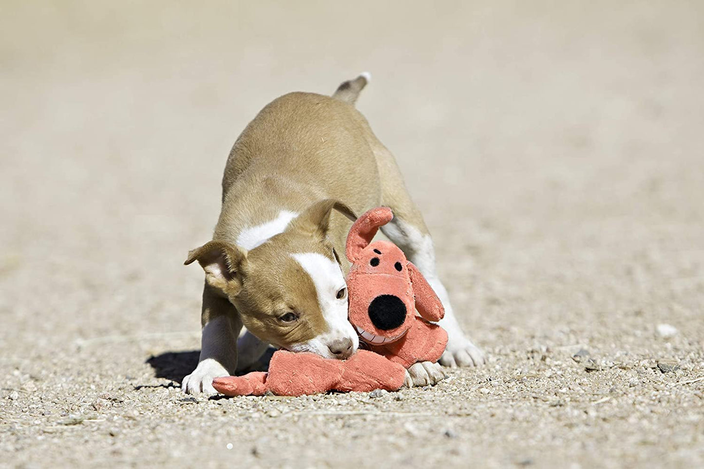 Jumbo Plush Squeaky Loofa Dog Toy - Zoomies Pet EmporiumJumbo Plush Squeaky Loofa Dog ToyDog ToyJumbo Loofa DogZoomies Pet Emporium39957bc3 - 9813 - 4949 - b08a - 6fd7718521b07445023176197Jumbo Loofa Dog Toy in Assorted Colors