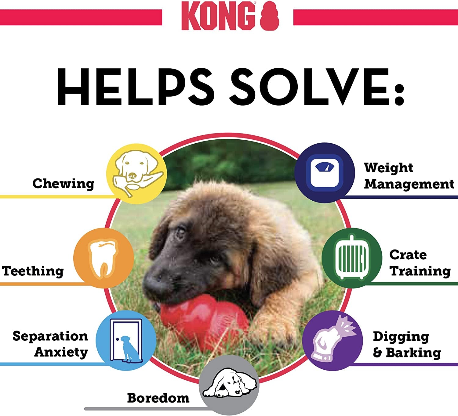 KONG Classic Red Dog Toy - Zoomies Pet EmporiumKONG Classic Red Dog ToyDog ToyKONGZoomies Pet Emporium313308e4 - d2e3 - 4688 - be70 - 11879eba6446313044892860Standard PackagingMediumKONG Classic Red Dog Toy - for Medium Dogs