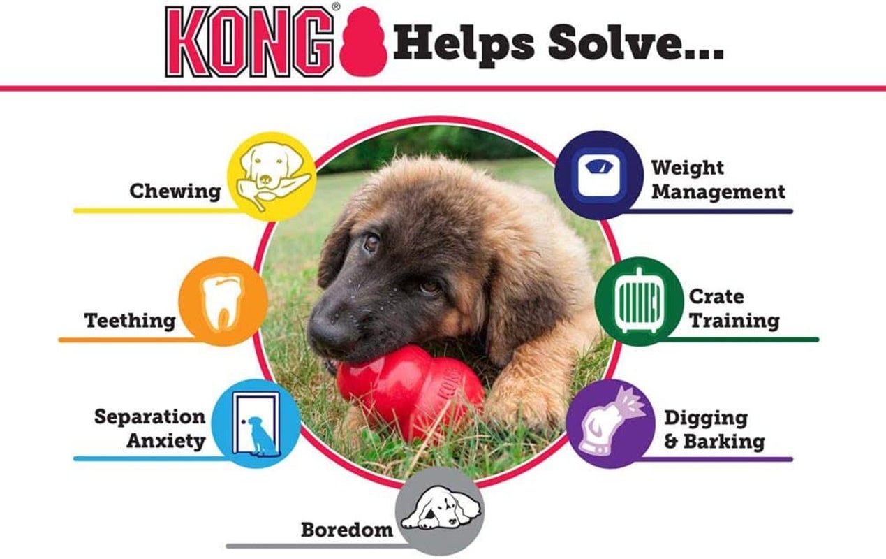 KONG Extreme Dog Toy - Zoomies Pet EmporiumKONG Extreme Dog ToyDog ToyKONGZoomies Pet Emporium5bfb870b - 8439 - 4569 - b953 - d74b63239c70744110294903Standard PackagingLargeKONG Extreme Dog Chew Toy