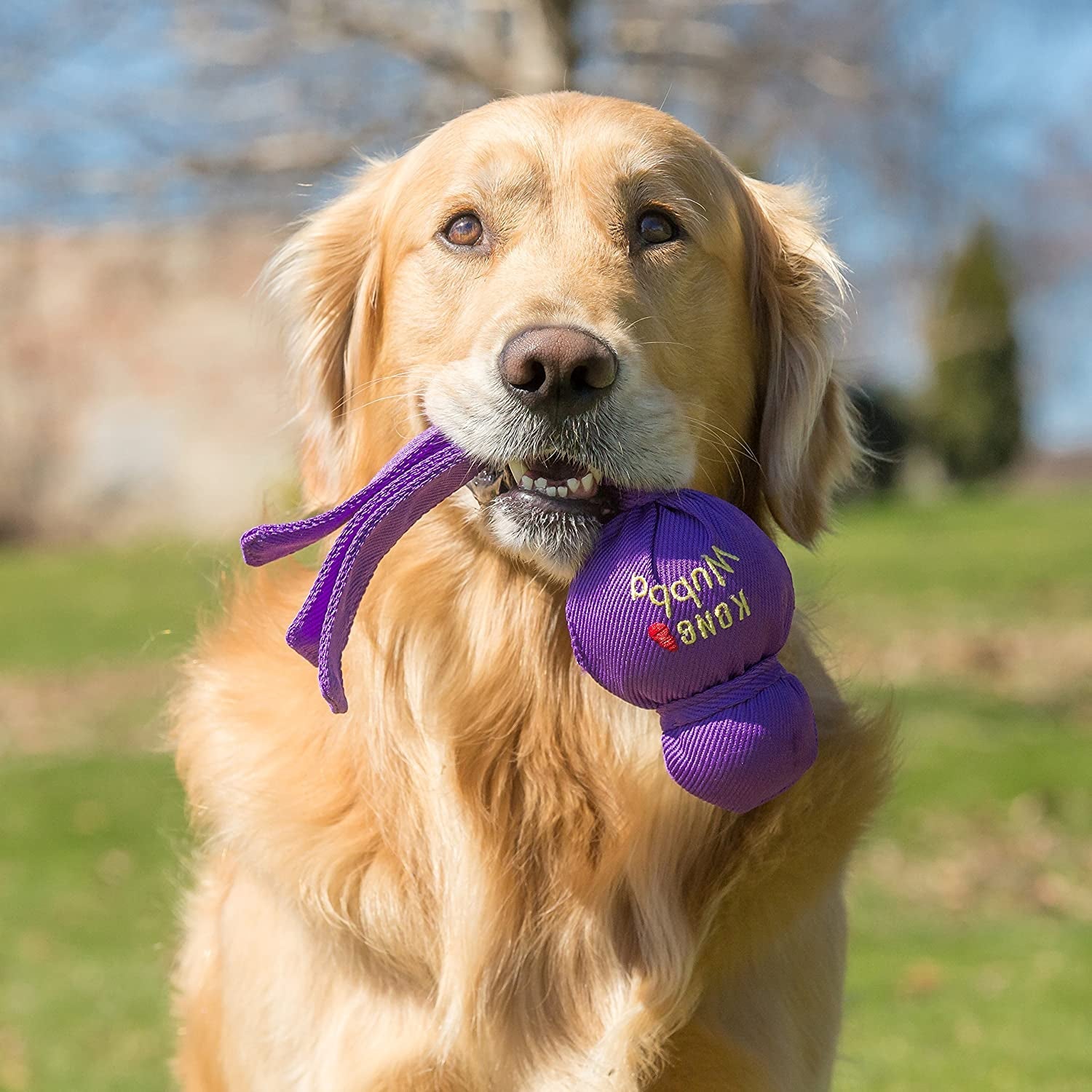 KONG Wubba Tug and Fetch Dog Toy - Zoomies Pet EmporiumKONG Wubba Tug and Fetch Dog ToyDog ToyKONGZoomies Pet Emporium8a4825f4 - 6b3e - 4023 - b9ac - 219082b3a17d744110673890Standard PackagingLargeWubba Tug of War and Fetch Dog Toy