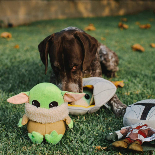 Mandalorian Baby Yoda Dog Toy - Zoomies Pet EmporiumMandalorian Baby Yoda Dog ToyDog ToyBuckle - DownZoomies Pet Emporium3d75110e - 34a5 - 4c87 - af45 - e9cb82f2e4617445005150160Baby YodaMandalorian Baby Yoda Plush Dog Toy