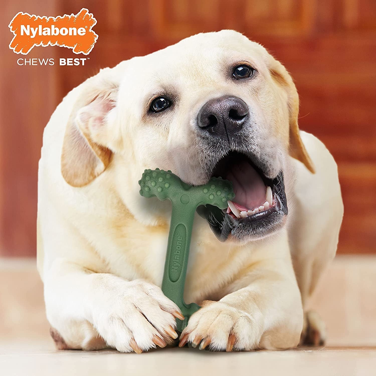 Nylabone Power Chew Dog Toy for Aggressive Chewers - Zoomies Pet EmporiumNylabone Power Chew Dog Toy for Aggressive ChewersDog ToyNylaboneZoomies Pet Emporium1979026e - fbbd - 4262 - a879 - 0f262b2af10a313025684606Easy HoldLarge/Giant (1 Count)Nylabone Power Chew Dog Toy for Aggressive Chewers