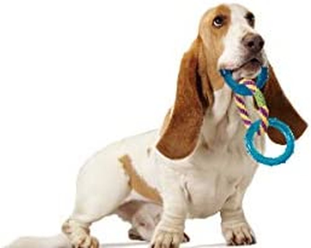 Orka Dental Links Dog Chew Toy - Zoomies Pet EmporiumOrka Dental Links Dog Chew ToyDog ToyPetstagesZoomies Pet Emporium19793059 - 0d2e - 4d96 - a1d5 - 0c6d9609a473313016233271Dental Links - MultiSmall Breeds & PuppyPetstages Orka Dental Links Dog Chew Toy