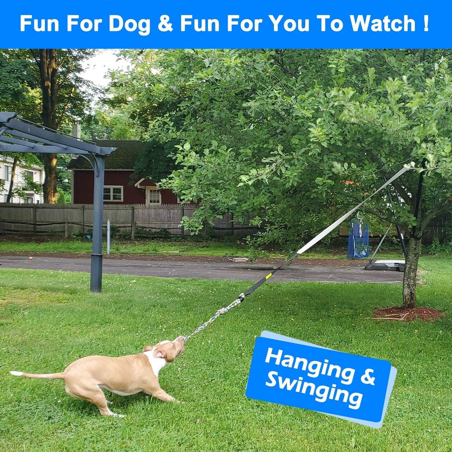 Outdoor Bungee Tug Dog Toy - Zoomies Pet EmporiumOutdoor Bungee Tug Dog ToyDog ToyLoobaniZoomies Pet Emporiuma5f407be - 4d38 - 4baf - 8876 - 875c40a48858711181939682BlackOutdoor Bungee Hanging Tether Tug Dog Toy