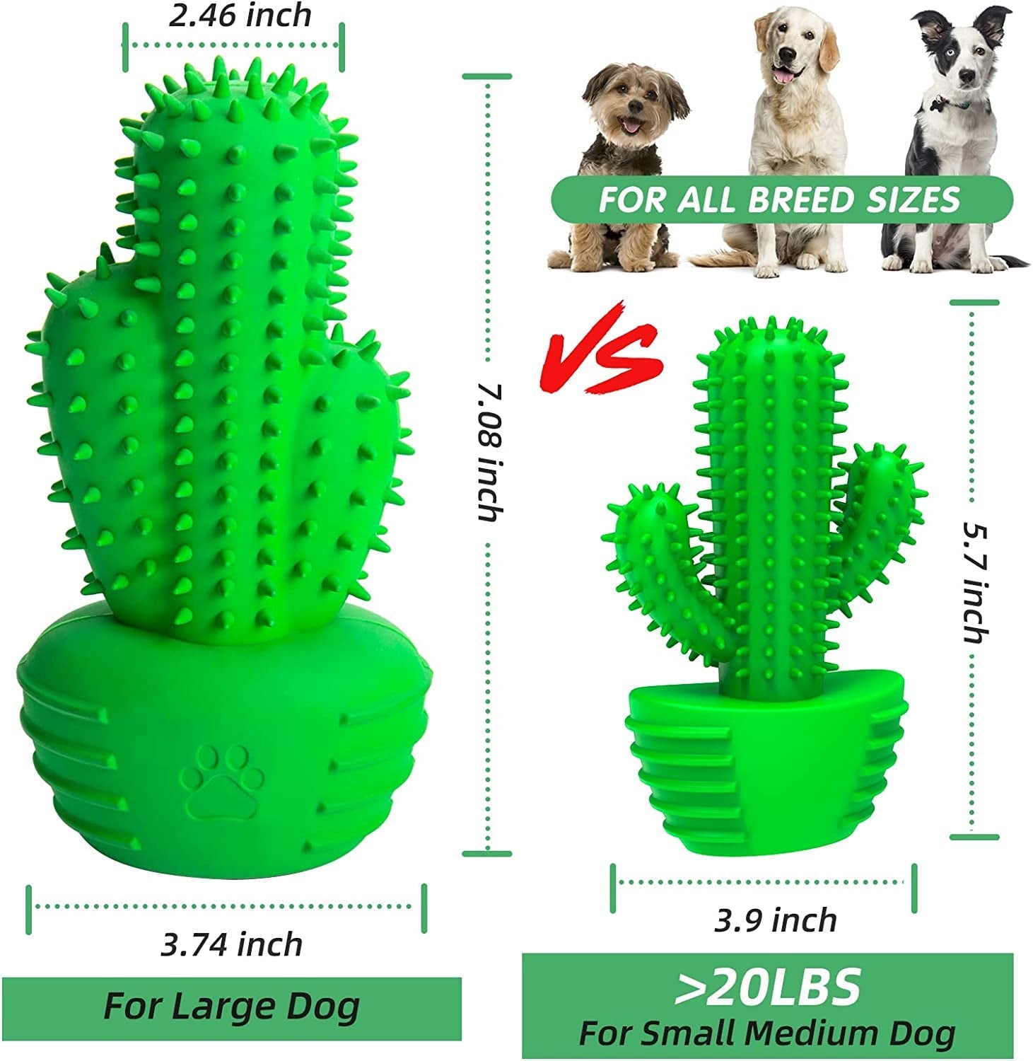 Pamlulu Dog Toothbrush Dog Toy - Zoomies Pet EmporiumPamlulu Dog Toothbrush Dog ToyDog ToyPamluluZoomies Pet Emporium458686f1 - f68d - 4187 - acc5 - 289a1c7eeee7744110158823GreenFor Medium DogCactus Teeth Cleaning Dog Brush Chew Toy