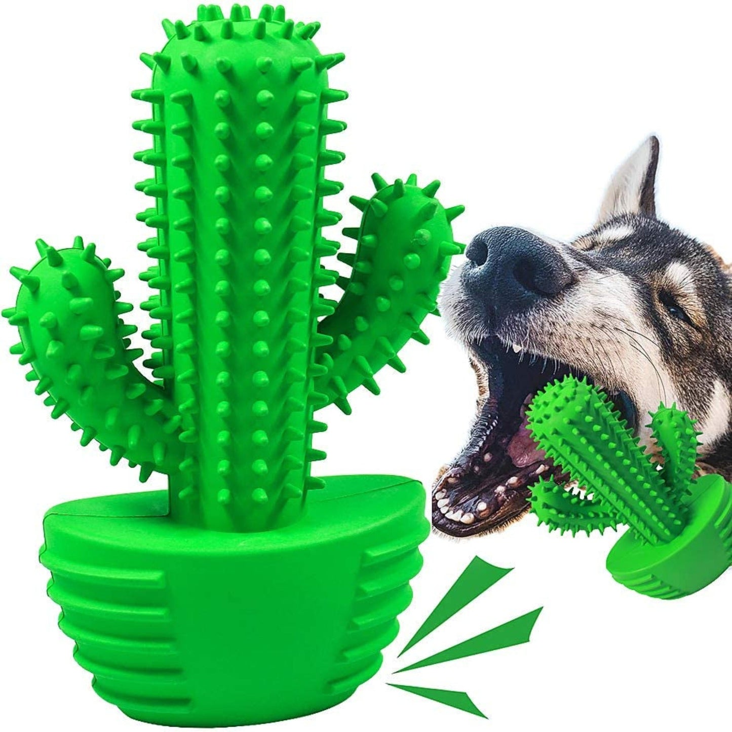 Pamlulu Dog Toothbrush Dog Toy - Zoomies Pet EmporiumPamlulu Dog Toothbrush Dog ToyDog ToyPamluluZoomies Pet Emporium458686f1 - f68d - 4187 - acc5 - 289a1c7eeee7744110158823GreenFor Medium DogCactus Teeth Cleaning Dog Brush Chew Toy