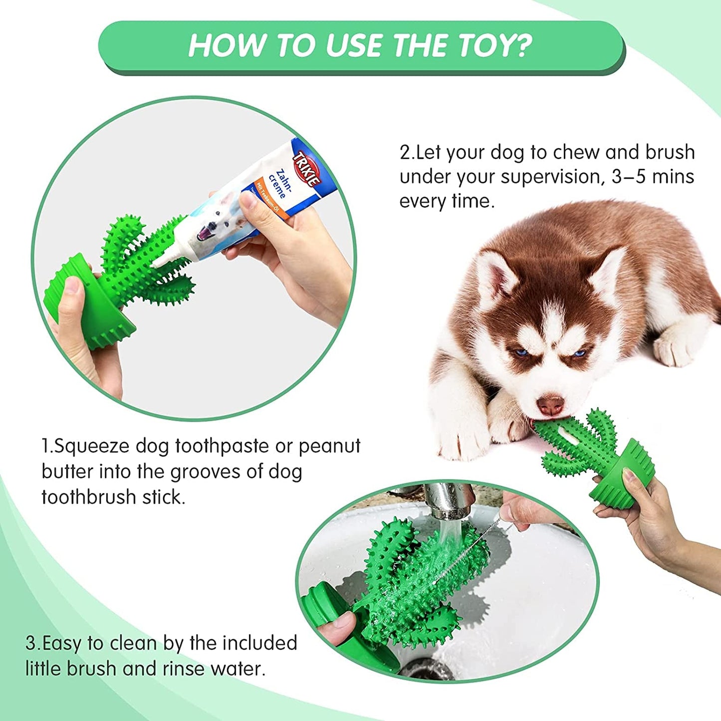 Pamlulu Dog Toothbrush Dog Toy - Zoomies Pet EmporiumPamlulu Dog Toothbrush Dog ToyDog ToyPamluluZoomies Pet Emporium458686f1 - f68d - 4187 - acc5 - 289a1c7eeee7744110158823GreenFor Medium DogCactus Teeth Cleaning Dog Brush Chew Toy