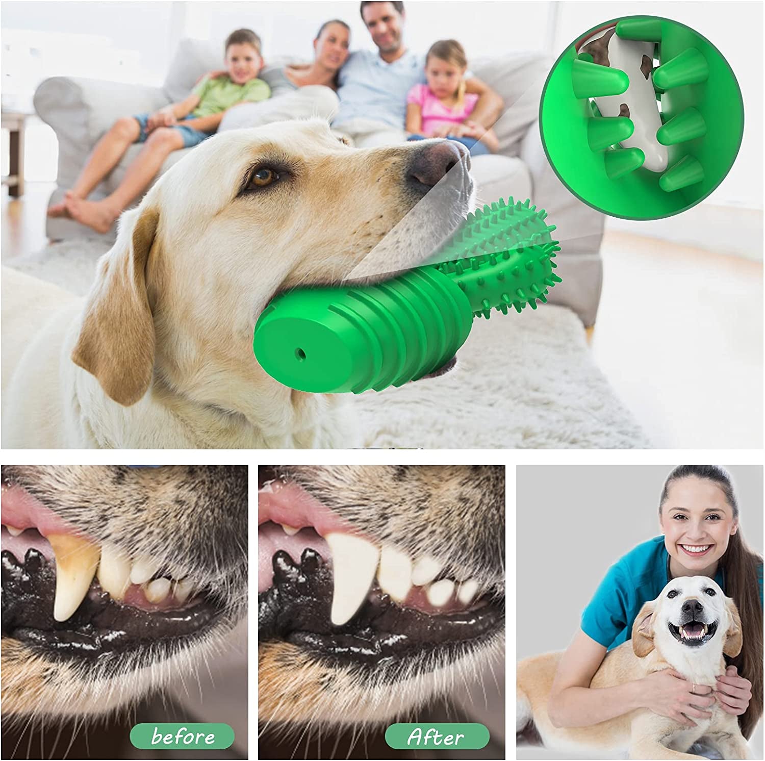 Pamlulu Dog Toothbrush Dog Toy - Zoomies Pet EmporiumPamlulu Dog Toothbrush Dog ToyDog ToyPamluluZoomies Pet Emporium458686f1 - f68d - 4187 - acc5 - 289a1c7eeee7744110158823GreenFor Medium DogCactus Teeth Cleaning Dog Brush Chew Toy