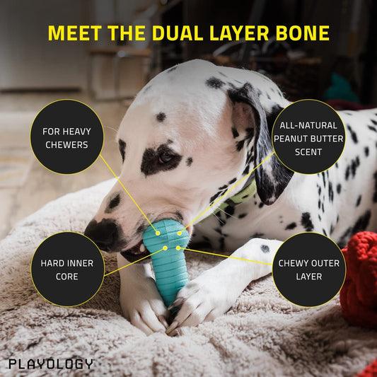 PLAYOLOGY Dual Layer Dog Bone Chew Toy for Large Dogs - Zoomies Pet EmporiumPLAYOLOGY Dual Layer Dog Bone Chew Toy for Large DogsDog ToyPLAYOLOGYZoomies Pet Emporium78f3db65 - e35e - 4213 - b79c - 03edfd877e6e744759605825Peanut ButterLarge BonePLAYOLOGY Dual Layer Dog Bone Chew Toy for Large Dogs