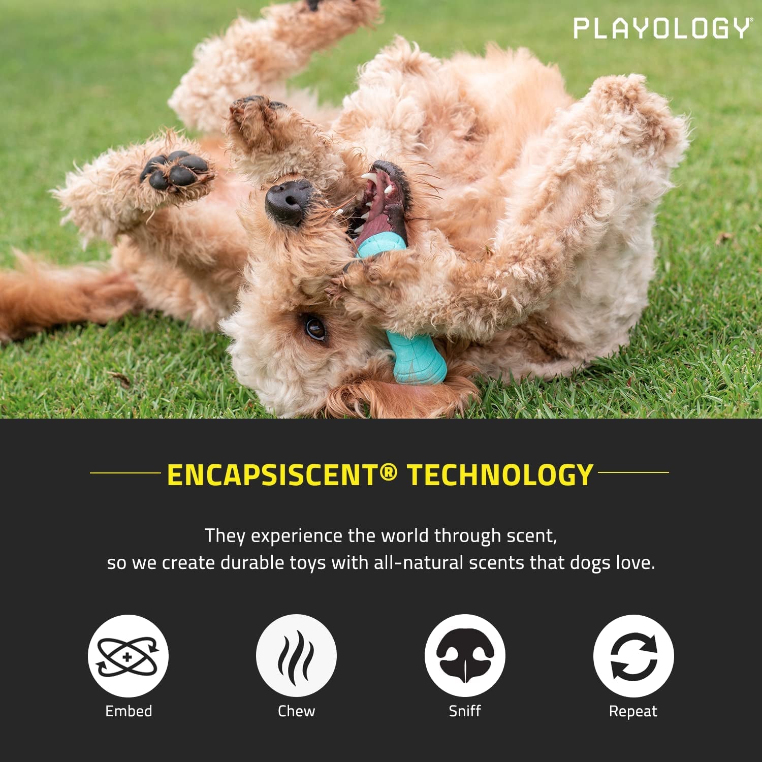 PLAYOLOGY Dual Layer Dog Bone Chew Toy for Large Dogs - Zoomies Pet EmporiumPLAYOLOGY Dual Layer Dog Bone Chew Toy for Large DogsDog ToyPLAYOLOGYZoomies Pet Emporium78f3db65 - e35e - 4213 - b79c - 03edfd877e6e744759605825Peanut ButterLarge BonePLAYOLOGY Dual Layer Dog Bone Chew Toy for Large Dogs