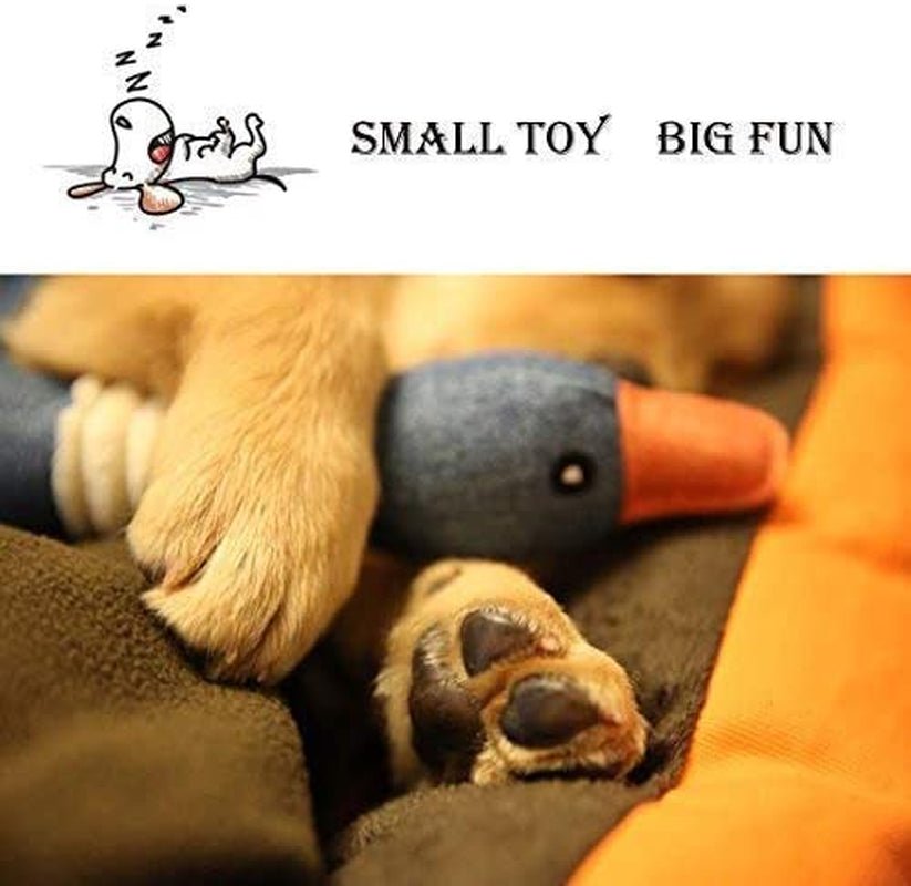 Plush Stuffed Squeaky Goose Puppy Dog Chew Toy - Zoomies Pet EmporiumPlush Stuffed Squeaky Goose Puppy Dog Chew ToyDog ToyZoomies Pet EmporiumZoomies Pet Emporium88601562 - 0db2 - 45b4 - bfa2 - b72f6e2ce3177445001687639BlueSqueaky Goose Puppy Dog Chew Toy