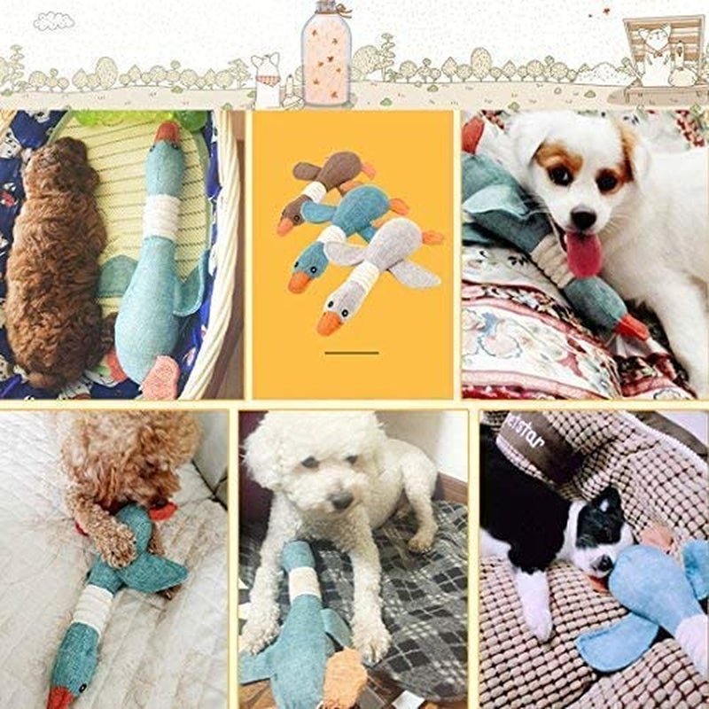 Plush Stuffed Squeaky Goose Puppy Dog Chew Toy - Zoomies Pet EmporiumPlush Stuffed Squeaky Goose Puppy Dog Chew ToyDog ToyZoomies Pet EmporiumZoomies Pet Emporium88601562 - 0db2 - 45b4 - bfa2 - b72f6e2ce3177445001687639BlueSqueaky Goose Puppy Dog Chew Toy