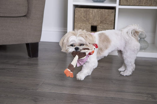 Skinny Plush Brown Squeaky Rooster Dog Toy - Zoomies Pet EmporiumSkinny Plush Brown Squeaky Rooster Dog ToyDog ToygoDogZoomies Pet Emporium49d7b572 - df17 - 4bf4 - 82eb - c07d46a6ad30313104923978Checkers - Skinny Rooster (Brown)CheckersMiniBrown Skinny Rooster Squeaky Plush Dog Toy