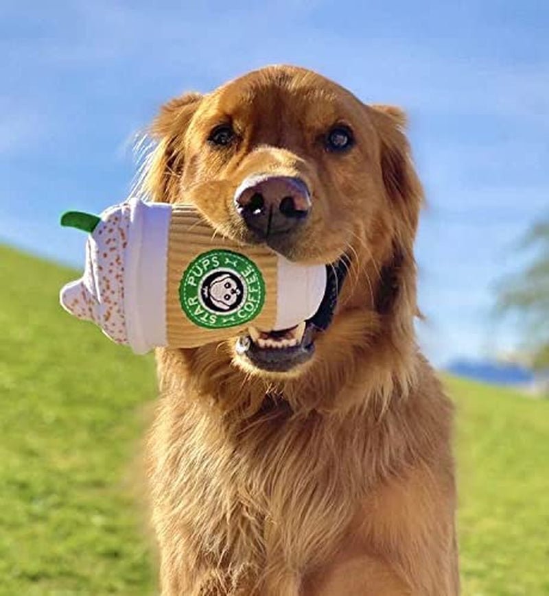 Star Pups Pup'Kin Spice Latte Dog Toy - Zoomies Pet EmporiumStar Pups Pup'Kin Spice Latte Dog ToyDog ToynestparkZoomies Pet Emporium809bc819 - e093 - 4d7a - 8467 - f580e36e15f27445052636686Star Pups Pup'Kin Spice Latte Dog Toy