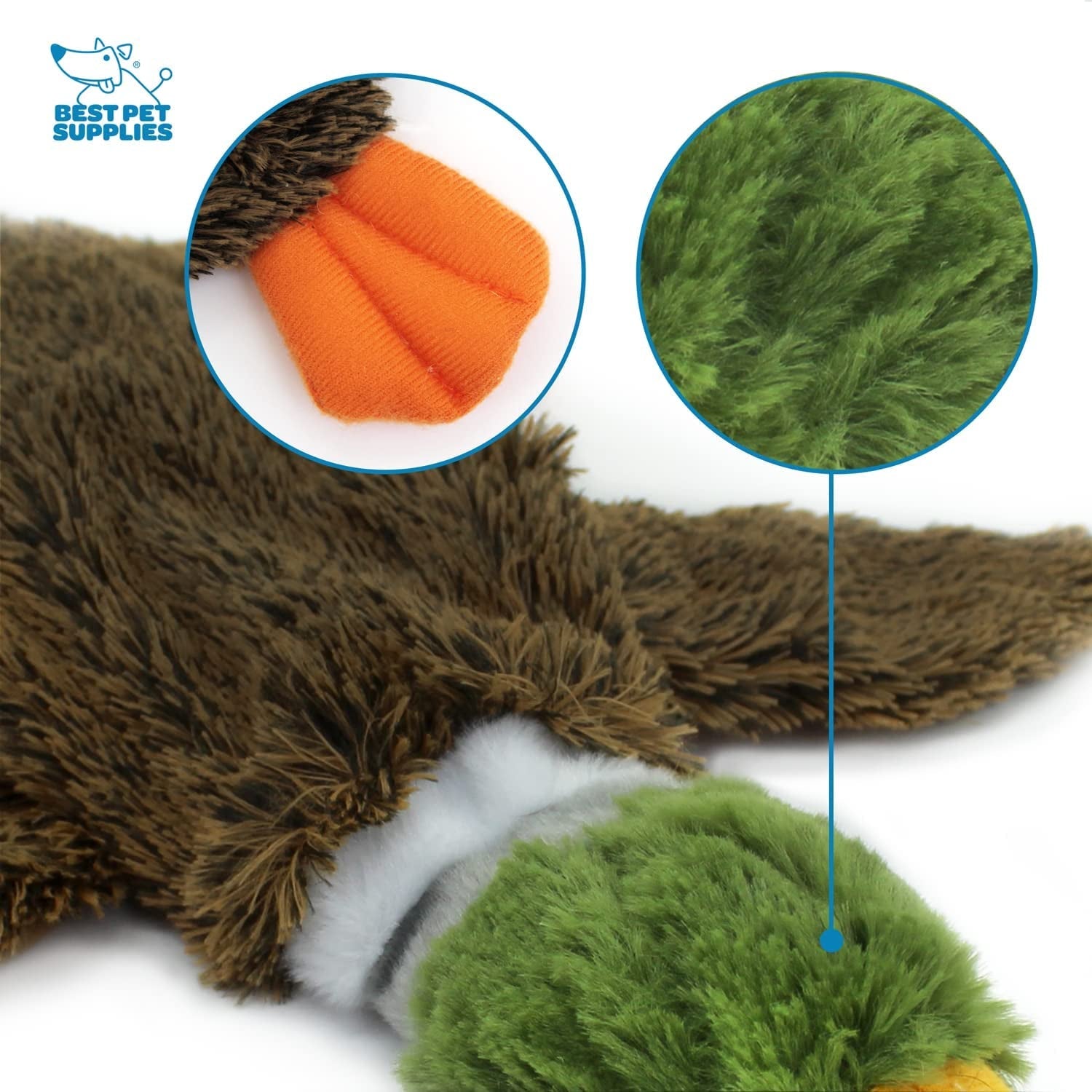 Stuffless 2 - In - 1 Wild Duck Squeaky Dog Toy - Zoomies Pet EmporiumStuffless 2 - In - 1 Wild Duck Squeaky Dog ToyDog ToyBest Pet SuppliesZoomies Pet Emporiume82a1b19 - 6124 - 4855 - bd75 - 42c9e219b37a7445016412493Brown/Wild DuckSmallWild Duck 2 - In - 1 Stuffless Squeaky Dog Toy