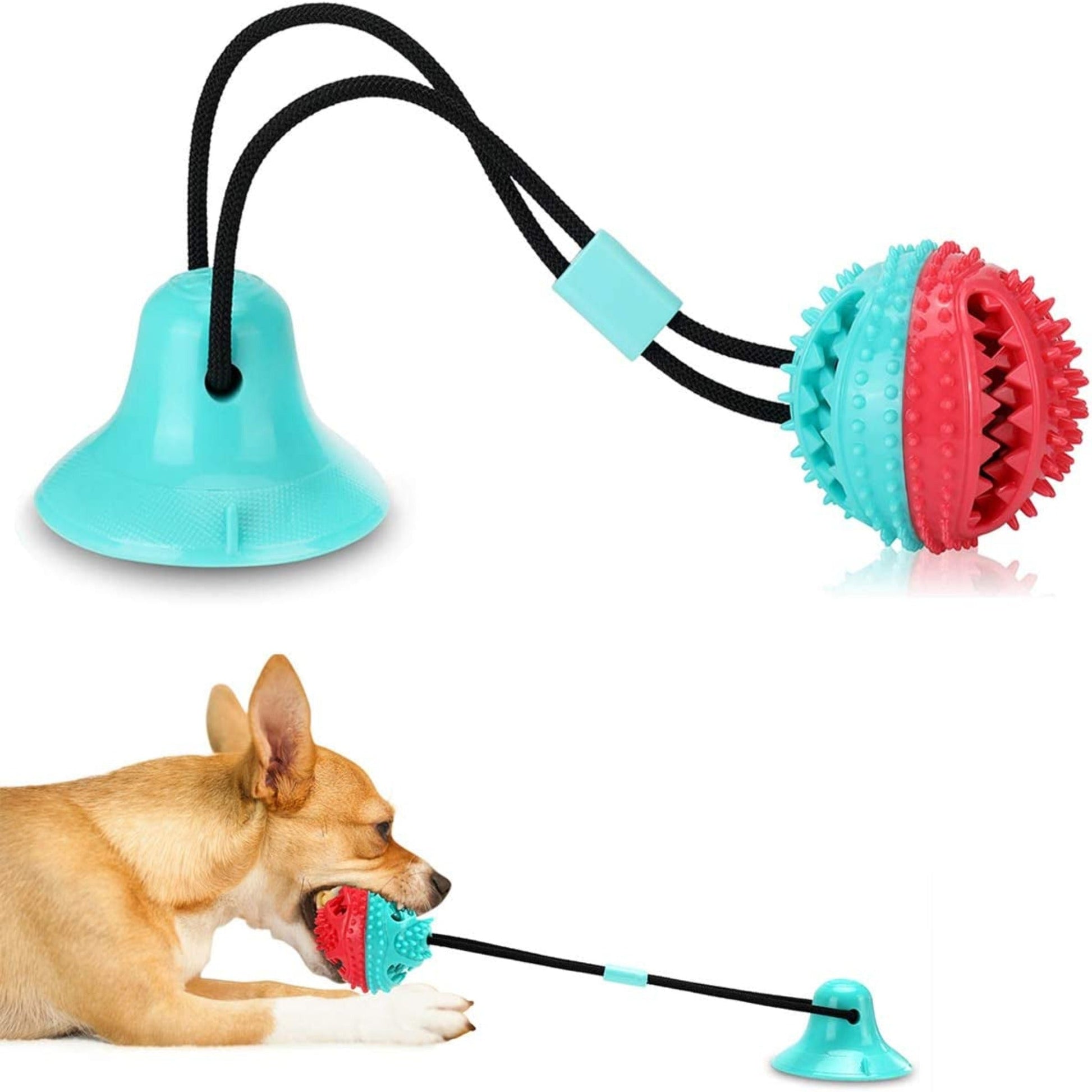 Suction Cup Tug Dog Toy - Zoomies Pet EmporiumSuction Cup Tug Dog ToyDog ToyAllrierZoomies Pet Emporium1cfb1b1d - 2ab6 - 49e0 - a23f - ee5a765ae3eb313107425417Tug of War Dog Toy