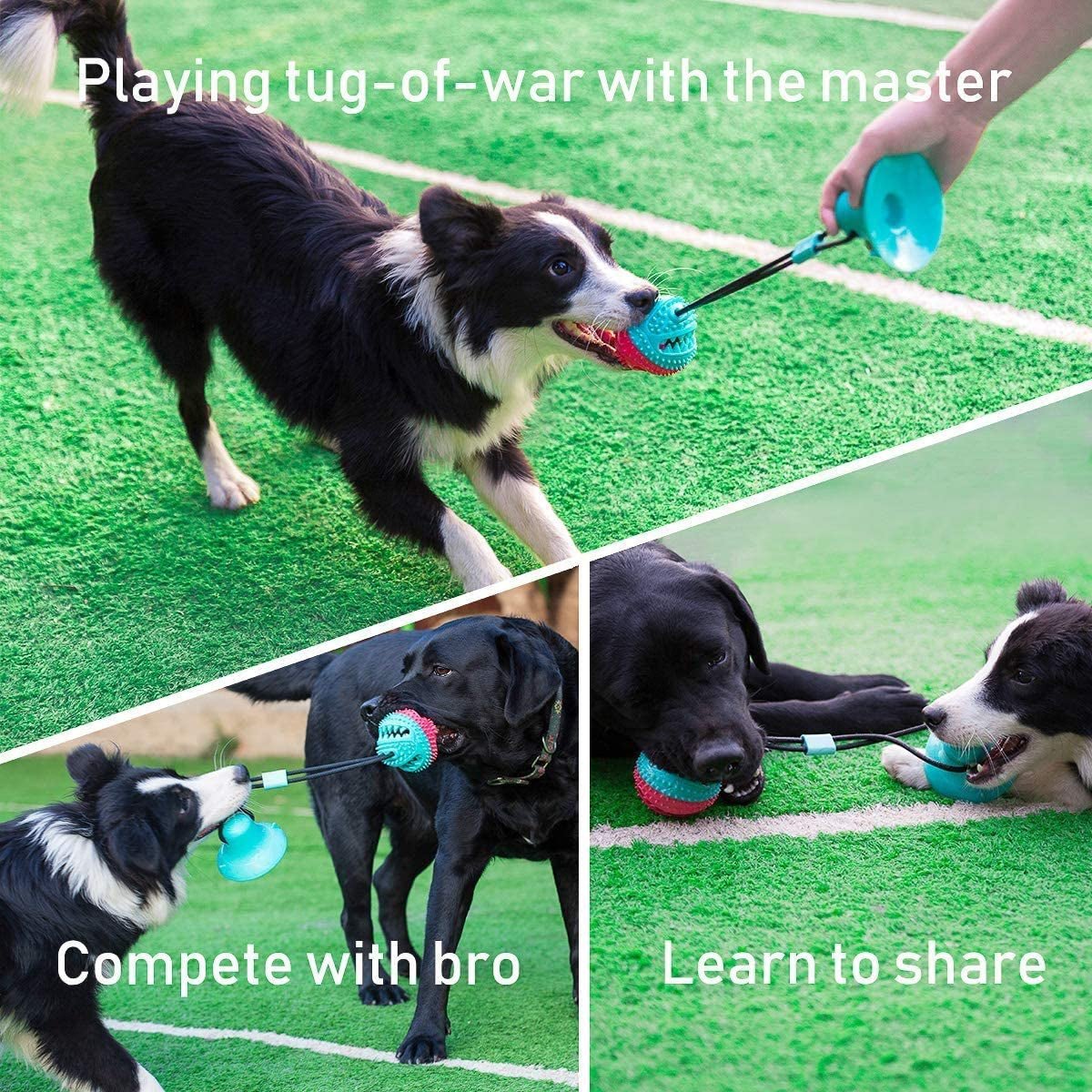 Suction Cup Tug Dog Toy - Zoomies Pet EmporiumSuction Cup Tug Dog ToyDog ToyAllrierZoomies Pet Emporium1cfb1b1d - 2ab6 - 49e0 - a23f - ee5a765ae3eb313107425417Tug of War Dog Toy