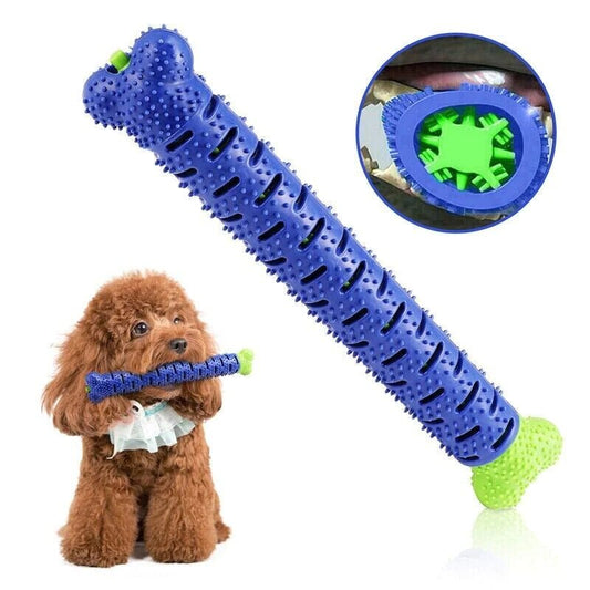 Teeth Cleaning Chew Brush Dog Toy - Zoomies Pet EmporiumTeeth Cleaning Chew Brush Dog ToyDog ToyZoomies Pet EmporiumZoomies Pet Emporium57f47068 - ae8e - 4ea2 - 94e2 - 72fe28fcc483Chew brush Toothbrush Dog Teeth Cleaning ToyChew brush Toothbrush Dog Teeth Cleaning Toy