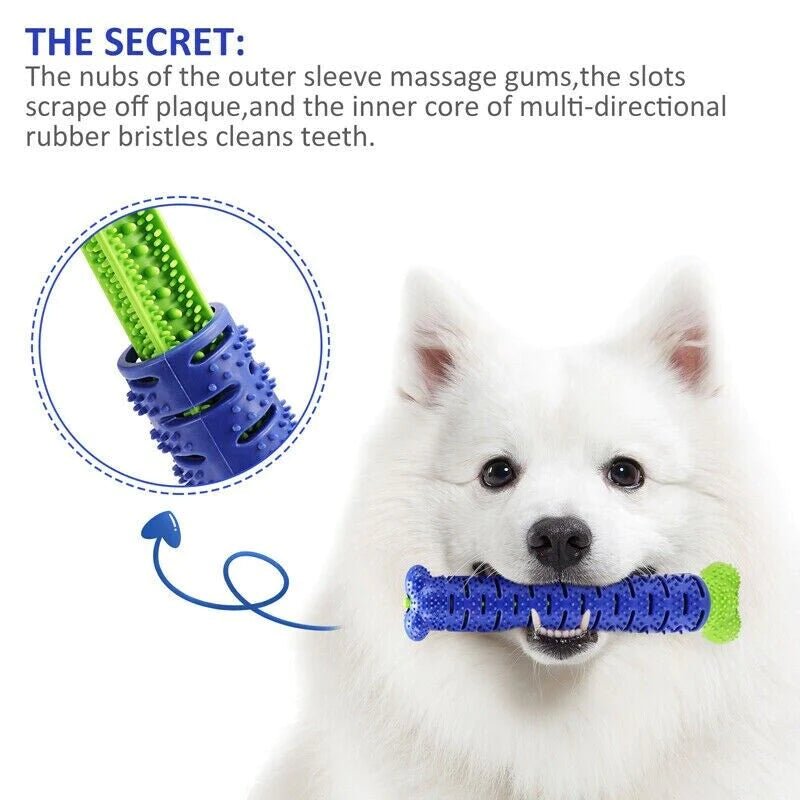 Teeth Cleaning Chew Brush Dog Toy - Zoomies Pet EmporiumTeeth Cleaning Chew Brush Dog ToyDog ToyZoomies Pet EmporiumZoomies Pet Emporium57f47068 - ae8e - 4ea2 - 94e2 - 72fe28fcc483Chew brush Toothbrush Dog Teeth Cleaning ToyChew brush Toothbrush Dog Teeth Cleaning Toy